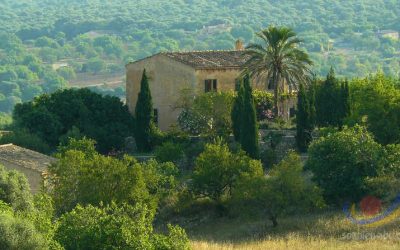 Fincaurlaub – Urlaub auf einer Finca – Landhausurlaub, Finca Mallorca, Finca Spanien