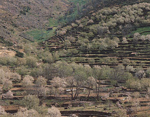 Das Jerte-Tal – in der Extremadura